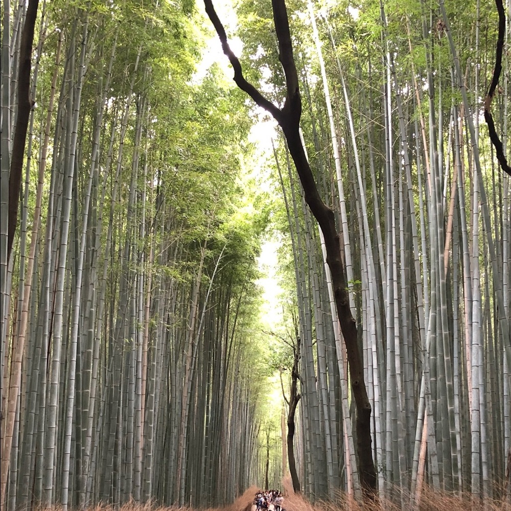 Meet your Posher, Carolynn